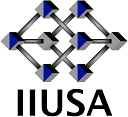 Iiusa   Internet Institute Usa logo