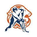 ijshockeynederland.nl logo