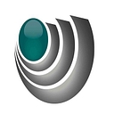 Integral Leadership Dynamics   Transforming Leadership logo