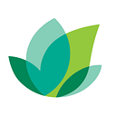 Ilife Llc logo
