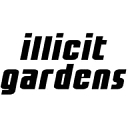 Illicit Brand