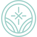 Illuminus logo