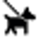 ilmiocaneleggenda.it logo