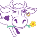 Purple Cow Restaurants