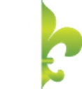 Ilsi Engineering (Integrated Logistical Support Inc.) logo