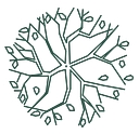 Ilt Vignocchi logo