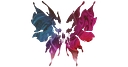 Imagendary Studios logo