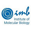 Institute of Molecular Biology logo