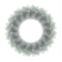 International Market Management logo