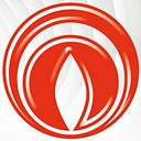 Immergas logo