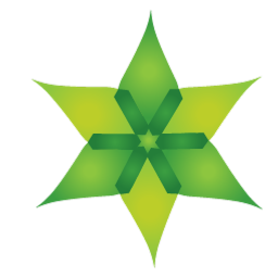 Immidi Infotech LLC logo
