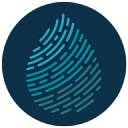 Impact Legacy Group logo