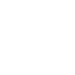 Imprivata Healthcare Digital Identity logo