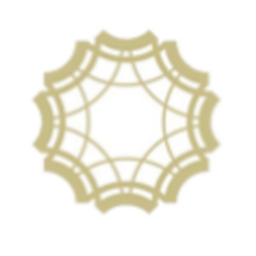 Institute of Medical Ultrasound logo