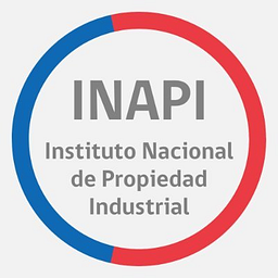 inapi.cl
