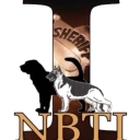 International Bloodhound Training Institute logo