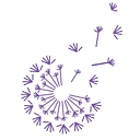 Favicon of Independent Living Lancashire