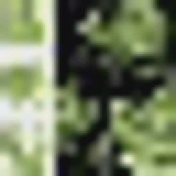 indiaenvironmentportal.org.in