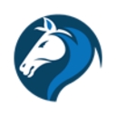 Indian Seo Company logo