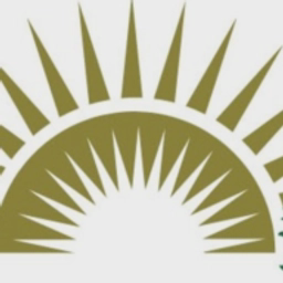 avatar logo