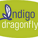 Indigodragonfly