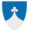 Kommunedirektør, Indre Fosen kommune
