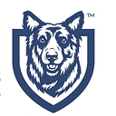 Indyrisk™ Insurance Advisors logo