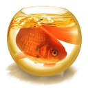 Morespace Limited logo