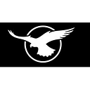 Inflite Engineering Services Limited logo