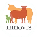 Innovis logo