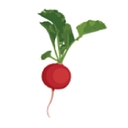 Inovasi Restaurants, Llc logo