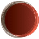 Global Mission Partners logo