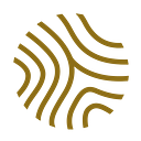 InPlanet logo