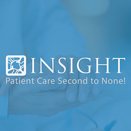 insightchicago.com