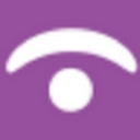 Insight Executive Group logo