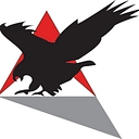 Insight Mobile Data (Streeteagle Tracking Solutions) logo