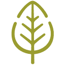Insight Recruitment logo