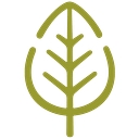 Insight Recruitment Solutions Limited logo