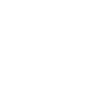 InsightX Media logo