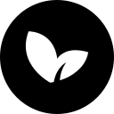 Favicon of Insiteful