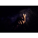 Inspiration Bits logo