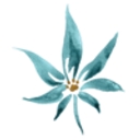 Inspired Pet Wellness logo