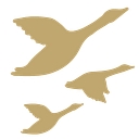 Inspiring Leadership Foundation logo