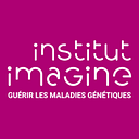 Imagine Institute of Genetic Diseases logo