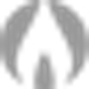 Heritage Insurance Services, Inc. logo
