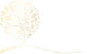 Insurance Plans Ct logo