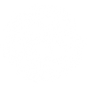 Insureco System logo