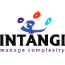 Intangi, Inc. logo