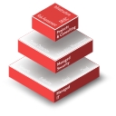 Techglora Integrated IT services logo