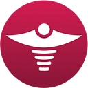Intella Triage logo